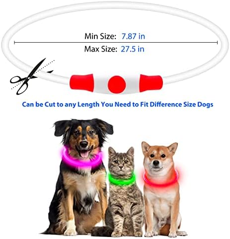 Flashseen LED Dog Collar, USB Rechargeable Glow Lighted up Collar, Red