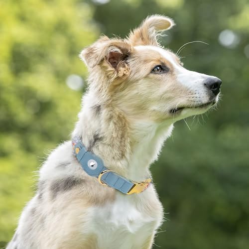 AirTag Dog Collar for Small Medium Large Breed - Adjustable Cute Pattern Dog Collar with Airtag Holder and Metal Buckle - Soft Leather Tracker GPS Apple Air Tag Pet Collars for Puppy Girl Boy Female