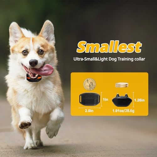 Shock Collar for Small Dogs, Electric Dog Training Collar with Remote,Tailored for 5-30lbs Small Dogs,3 Training Mode Beep, Vibration, Safe Shock(0-9) Waterproof, 1900ft Range (Black, Small)