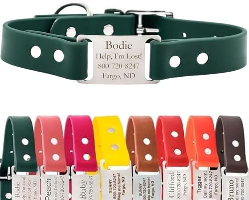 dogIDs Personalized Dog Collar – ScruffTag Custom Waterproof Biothane Dog Collar with Laser-Engraved Name, Durable & Odor-Resistant – USA Made | Hunter Green, 1 in x 20 in (Fits Neck Sizes 18-22 in)