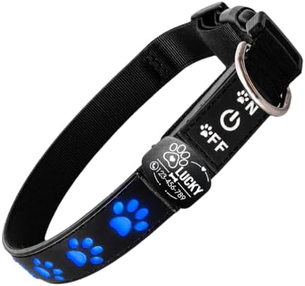 Personalized Light Up Dog Collar with Laser Engraved ID Tag