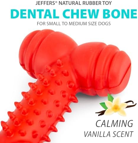Jeffers Pet Natural Rubber Dog Chew Toy – Red Bone with Dental Teeth, Small – Vanilla Scent, Durable, Non-Toxic, Dishwasher Safe, Interactive Fetch & Tug Toy - Perfect for Training