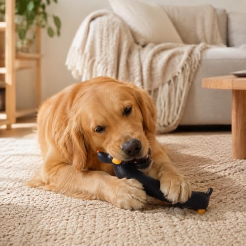 Mikivery Dog Chew Toys Tough Squeaky Latex Toy, for Aggressive Chewers