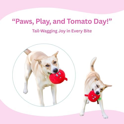 Glow Pups Dog Toy, Plush Squeaky Tomato Dog Chew Toy for Interactive Play, Durable Cotton Construction, Promotes Mental Stimulation and Reduces Stress, 5.75"x6", Red