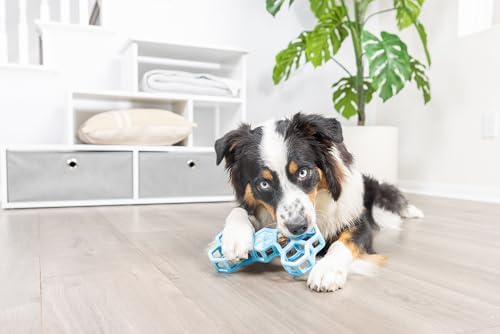 Chuckit! Holee Roller Dog Treat Puzzle Bone, Large, Blue – Interactive Treat & Chew Puzzle Toy for Dogs 60–100 lb – Durable Rubber Bone‑Shaped Fetch Toy for Mental Stimulation – Pack of 1