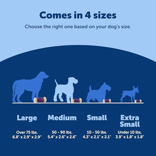 PetSafe Busy Buddy Nobbly Nubbly Treat Holding Dog Chew Toy, Medium