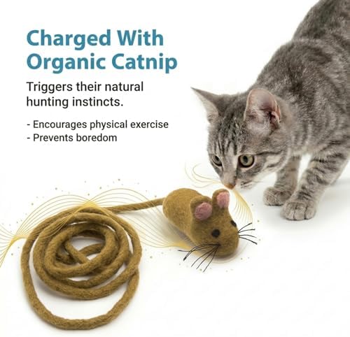 Glaciart One Felt Mouse Cat Toy – Soft Fuzzy Enrichment 100% Natural Wool - Interactive Catnip Play Cat Toy Set - Safe for Pets, Non-AZO Colored Dyes - 100” Long