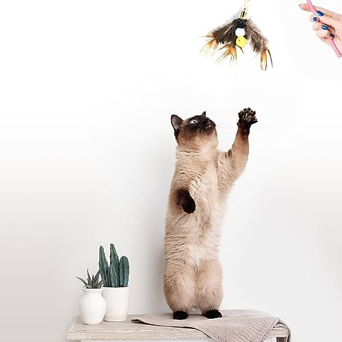 Cat Insect Feather Toys Replacement Cat Toy Wand Refills, 6 Pieces Natural Insect Cat Toy Feathers Refill, Interactive Cat Teaser Wand Attachments, with Bell