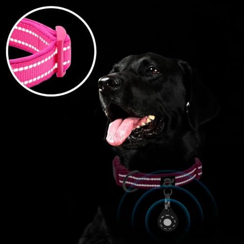 azuza Airtag Dog Collar, Small Dog Collar with Airtag Holder, Hot Pink, S