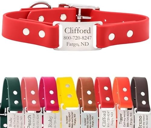 dogIDs Personalized Dog Collar – ScruffTag Custom Waterproof Biothane Dog Collar with Laser-Engraved Name, Durable & Odor-Resistant – USA Made | Red, 3/4 in x 14 in (Fits Neck Sizes 12-16 in)