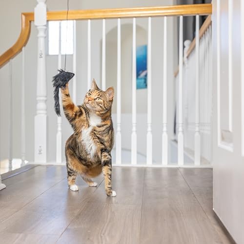 SPOT A-Door-Able Bouncing Mouse Cat Toy - Hanging Rattle & Catnip Interactive Toy, Entertain Cats for Hours, Indulge Natural Hunting Instincts, Provide Mental Stimulation, Suspend From Any Door Frame