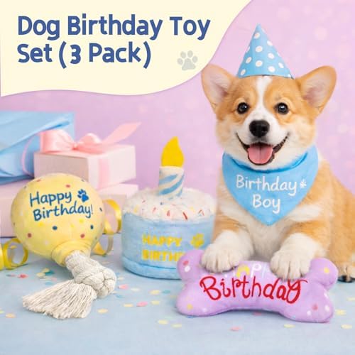 3-Pack Dog Birthday Toys
