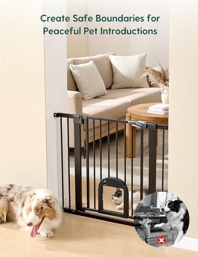 Babelio 36" Tall Baby Gate with Cat Door, CatPrivilege III, 29-43"
