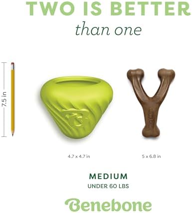 Benebone Dog Toy Bundle – Medium Wishbone Chew (Real Bacon) + Natural Rubber Cone Treat Dispenser – Durable, Made in USA, Great for Aggressive Chewers & Mealtime Enrichment