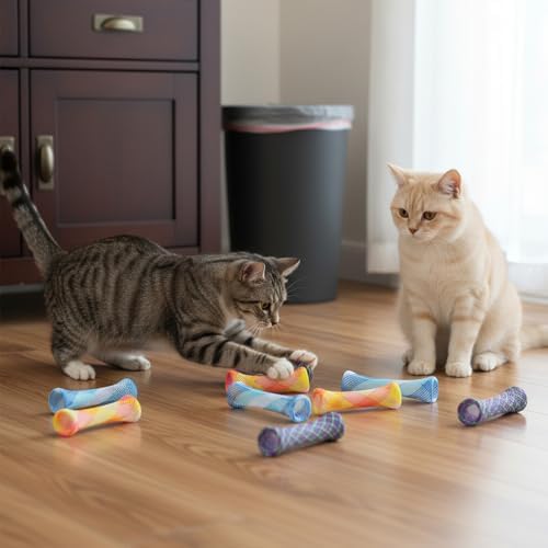 35Pcs Cat Spring Toys, Kitten Tube Toy Indoor Interactive Cat Toys, Colorful Cats Chew Toy Telescopic Foldable Plastic Coil for Pet to Chase Scratch Bite Pounce
