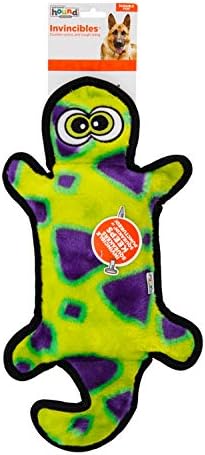 Outward Hound Durablez Tough Chew Plush Squeaky Dog Toy, Gecko, 17.5"