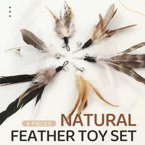 SONGWAY Interactive Cat Feather Toys - Cat Wand Toy Set with Retractable Teaser Wand and 6 PCS Natural Feather Refills, Da Bird Cat Toys for Indoor Cats Kittens