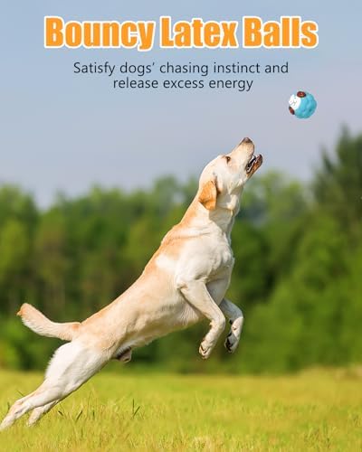 Dog Toys Squeaky, Interactive Latex Rubber Cute Animal Pet Toy Pack Squeak Balls for Puppy Small Medium Breed Dogs