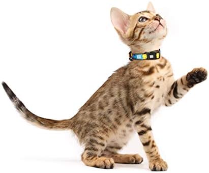 Max & Molly Cat & Kitten Collar Watemelon with Bell & Breakaway Safety Buckle, Fun Style for Girl or Boy Cats & Kittens, Waterpoof, Comfortable, Adjustable, Includes Gotcha QR Code Pet ID