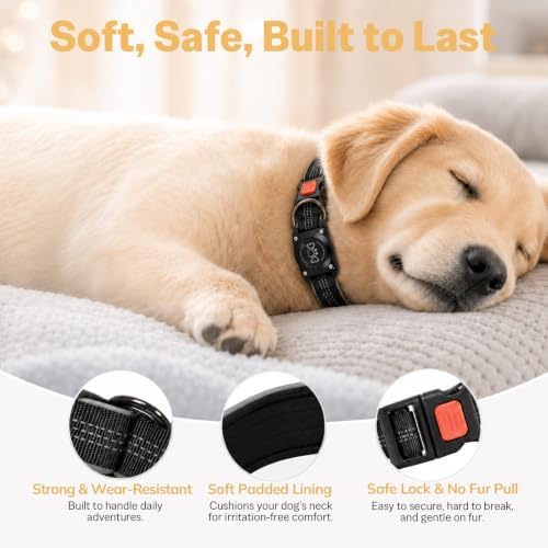 Dog Collar with AirTag Holder Waterproof QR Code Reflective Collar(Black,M) | Built-in Waterproof Holder, QR Code Tag, Reflective,Secure Buckle