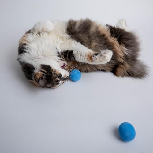 Rawry Foam Ball Cat Toy for Indoor Cats & Kittens, 24 Pack, Three Colors