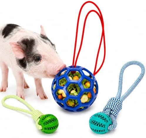 Ronyes 3 Pcs Pig Enrichment Toys, Treat Feeder and Rope Balls for Pet Pigs