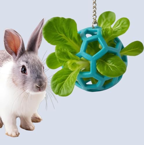 Rabbit Treat Ball, Bunny Enrichment Toy with Stainless Steel Hanger Set, Veggie Feeding Rabbit Ball Toy to Slow Feeder for Bunny, Guinea Pig, Hedgehog, Squirrel, Tortoise