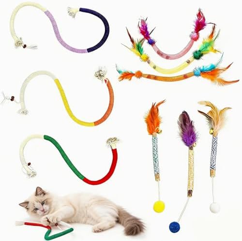 Cat Toys, 9 Pcs for Indoor Cats