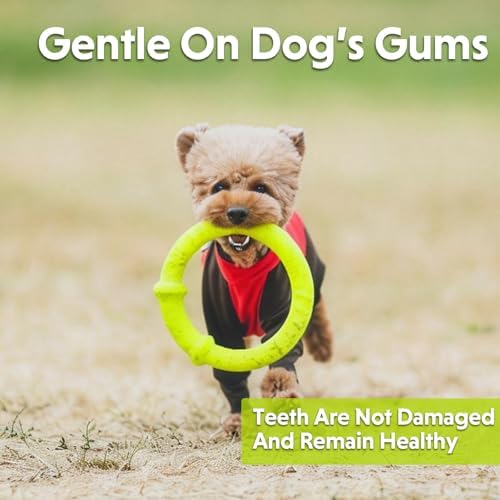 LaRoo Dog Chew Ring Toy for Small Dogs, Durable EVA Floating Puppy Teething Chew Toy, Interactive Tug of War Fetch Toy for Dental Cleaning & Outdoor Play (Green)