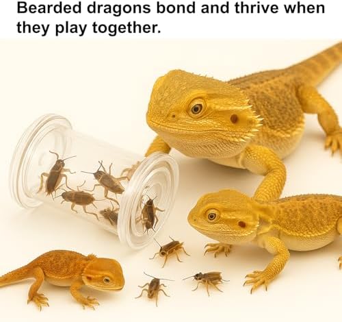2Pcs Bearded Dragon Enrichment Toy - Foraging Toys & 2 Tweezers for Bearded Dragons to Play with – Bearded Dragon Toy for Reptiles - Reptile Terrarium Tank Accessories for Gecko, Lizard