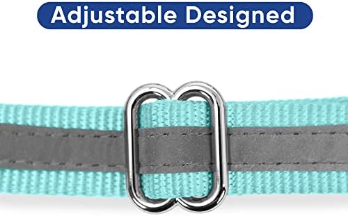 Pawtitas Martingale Dog Collar with Chain - Reflective Nylon No Pull Collar for Large Dogs - Teal