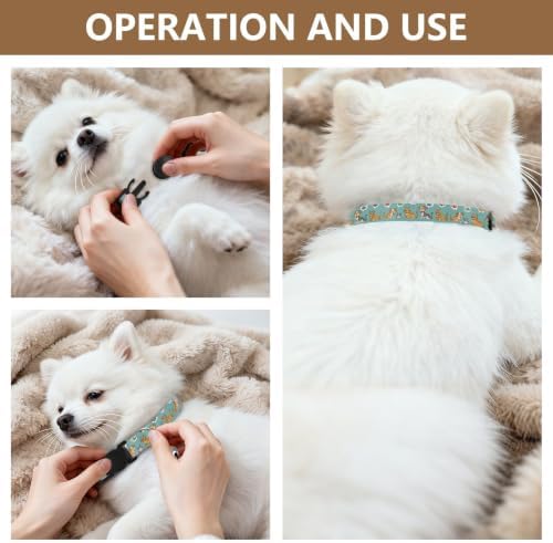 Cartoon Cats Dogs Lightweight Pet Collar for Cats and Dogs, 2 Pack Puppy Collar with Bell