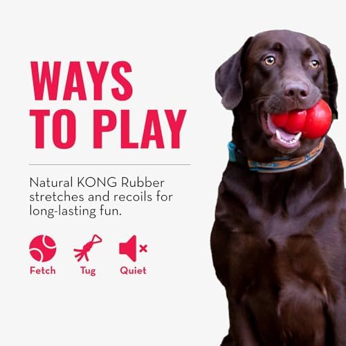KONG Tug Toy, Natural Rubber Dog Toy for Tug of War, for Medium/Large Dogs