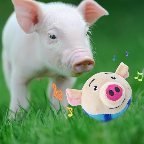 Interactive Toy for Mini Pig - Pigs Toy, Bouncing Toy Ball with Music and Recording for Mini Pigs, Pet Pig Supplies, Moving Ball Chew Toys for Pig to Keep Them Busy for Boredom