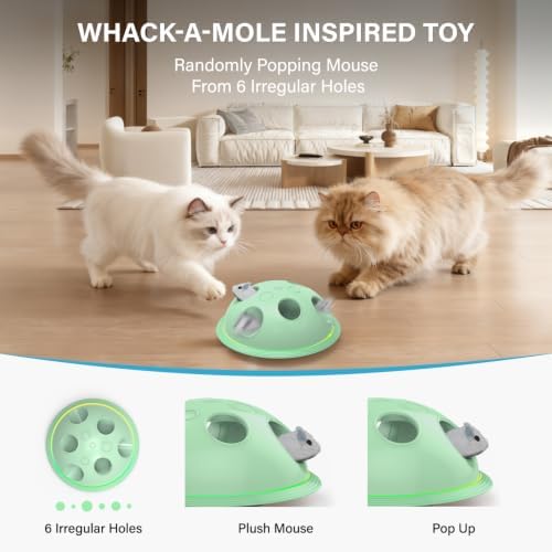 Pawingcat Cat Toys for Bored Indoor Cats Interactive String and Mouse