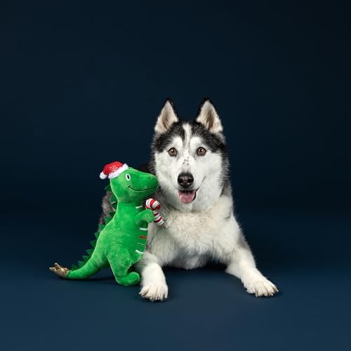Fringe Studio Pet Toy, REX-MAS is HERE! Green Rex Plush Dog Toy, PetShop Collection (314629)