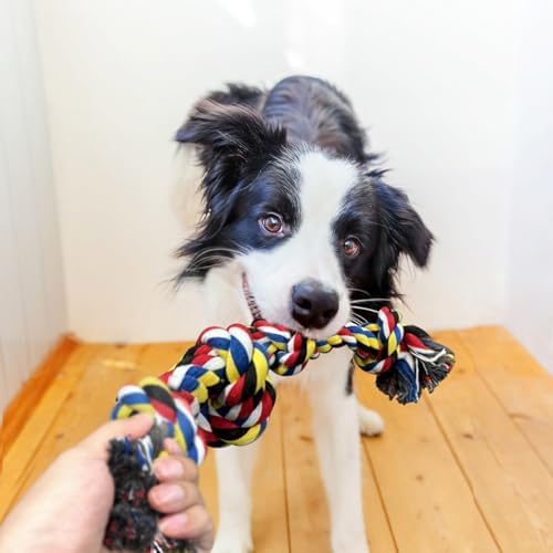 QDAN Dog Rope Toys for Aggressive Chewers, Indestructible Dog Toy, Tough Cotton Chew Toy for Medium Large Dogs
