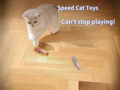 Interactive Cat Toy, 2 Pack Colorful Electric Vibrating Beetle, Self-Righting Automatic Crawl Toy, Bite Resistant Safe Pet Toy, Works On Carpet, Multi Cat Indoor Hunting Exercise Toy