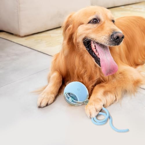 Interactive Rolling Dog Ball, Chewie Viral Rolling Ball, Chewie Ball for Dogs, Interactive Dog Smart Ball Toy, Smart Automatic Rolling Pet Ball for Dog Cat