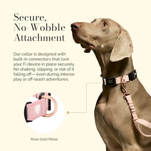 DOGISTRY - Fi Sweetheart Collar - GPS Dog Collar Band - XL