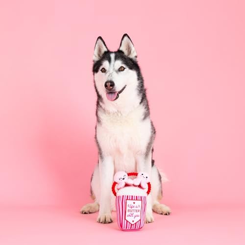 Fringe Studio Plush Dog Toy, My Heart Pops for You, Pet Shop Collection (314314)