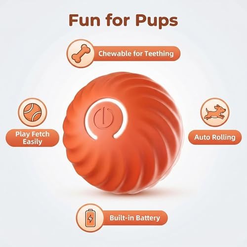 Winb Interactive LED Dog Ball （2 inch）- USB Rechargeable Motion-Activated Rolling Toy for Small Dogs, Dogs Ball Play and Wicked Fun,Orange