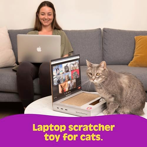 WHAT DO YOU MEME? Paws & Relax Pet Massager