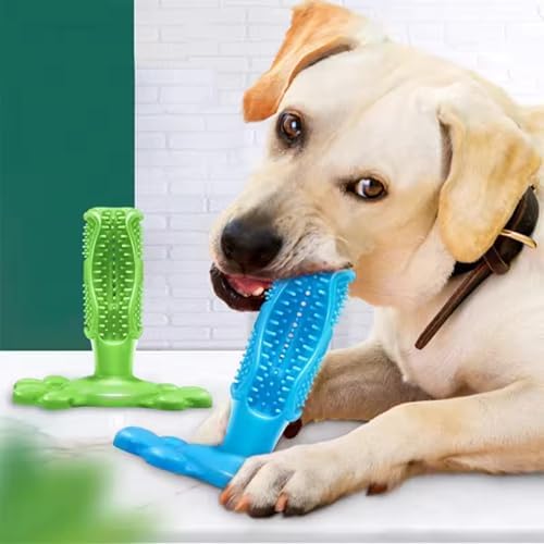 Chew Toy for Dog Toothbrush Stick Dog Toys for Aggressive Chewers Interactive Toys Treats Tough Toy to Keep Them Busy Chew for Small Dogs (Green, M)