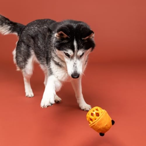 Fringe Studio Rubber Dog Toy, GO GET EM Tiger, Pet Shop Collection (519054)
