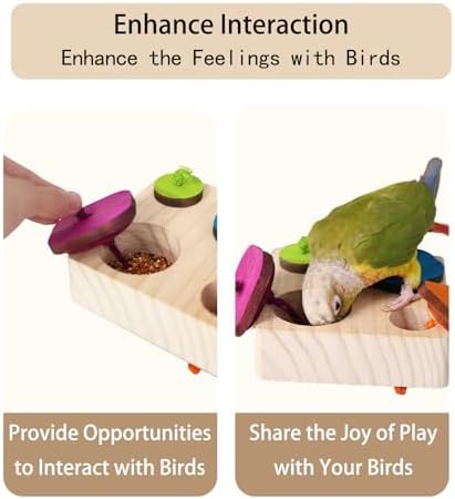 Birdie Puzzle Feeder - Interactive Foraging Toy for Parrots, Parakeets, Cockatiels, Conures | Mental Enrichment & Stimulation Game to Prevent Boredom (Colorful)