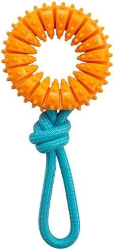 Dental Chew Wheel Durable Dog Toy, Tug & Chew, Mint Scent, 9.6"