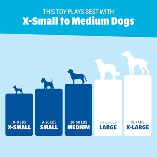 BarkBox Slay the Dragon Queen Dog Toy - Toy for Extra Small to Medium Dogs