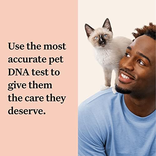 Wisdom Complete Cat DNA Test Panel for Full Health, Properties and Adventures - White