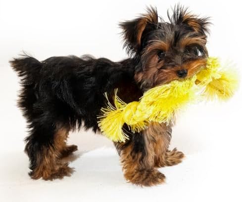 Playology Dog Toys | Sensory Rope for Puppies and Young Dogs | Chicken Scented Small Tug of War Dog Toy | Teething Puppy Essentials Rope Toys